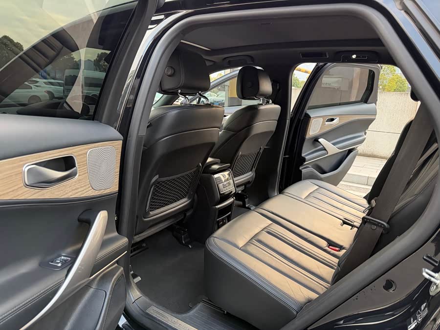 Denza X 2021 car image #13