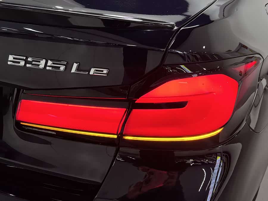 BMW 5 Series New Energy 2021 car image #13