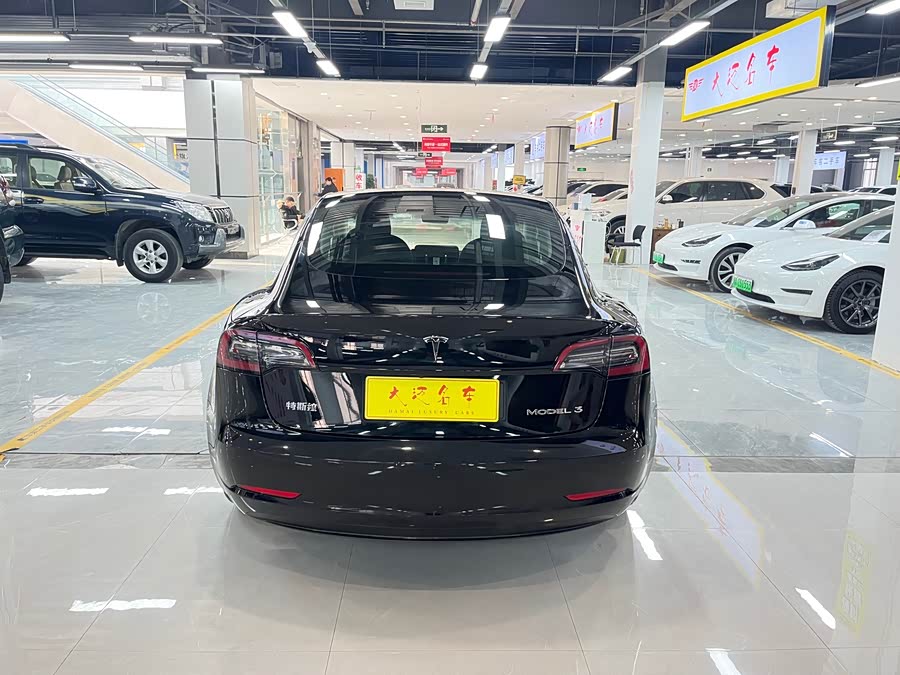Tesla Model 3 2022 #13 Tesla Model 3 2022 immagine di auto #13