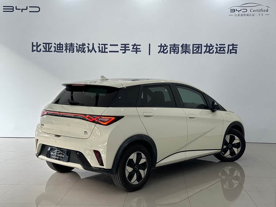 BYD Dolphin 2024 immagine di auto #13