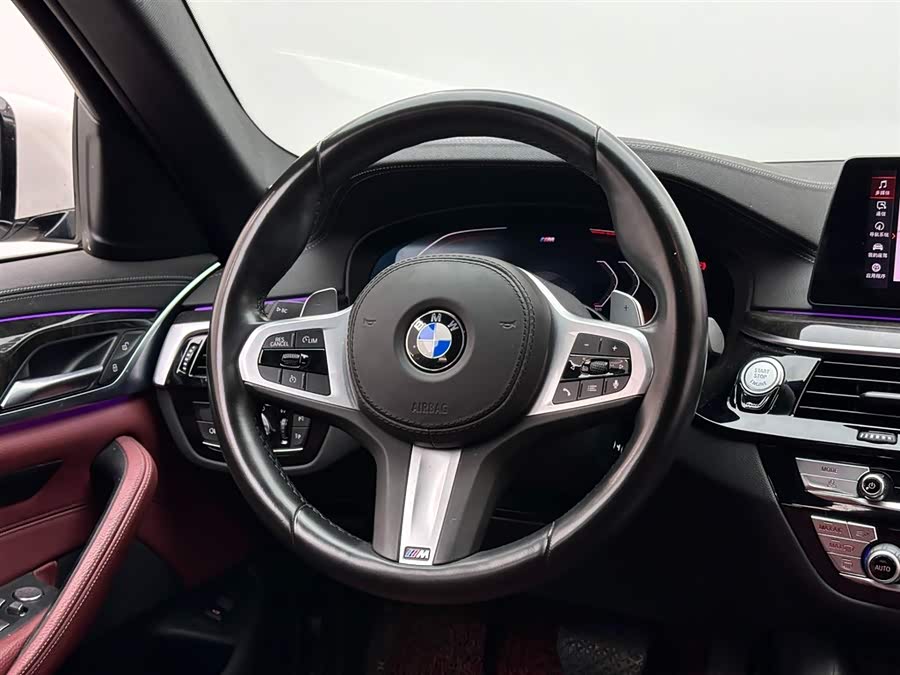 BMW 5 Series 2020 car image #13