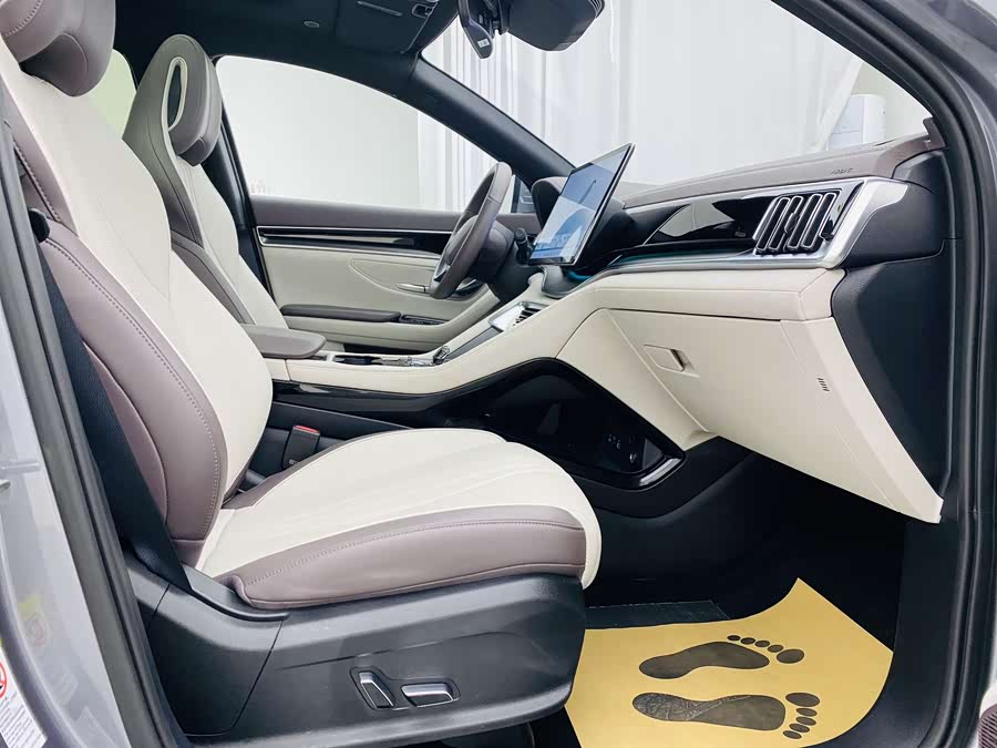 BYD Song Plus New Energy 2025 car image #13