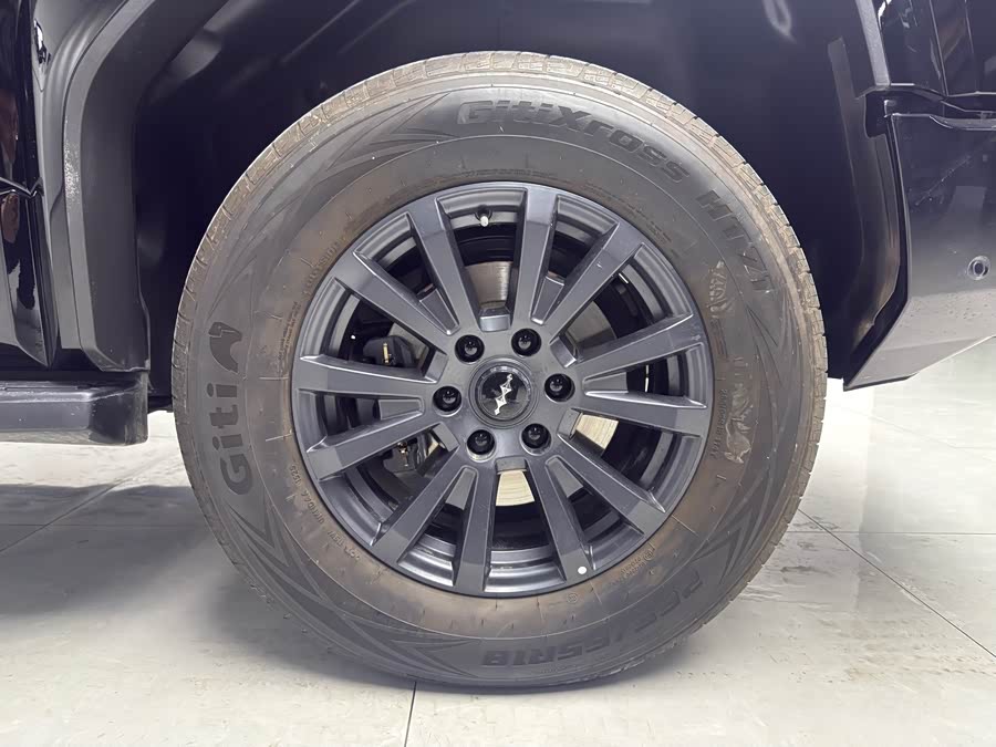 FangChengBao Leopard 5 2025 car image #13