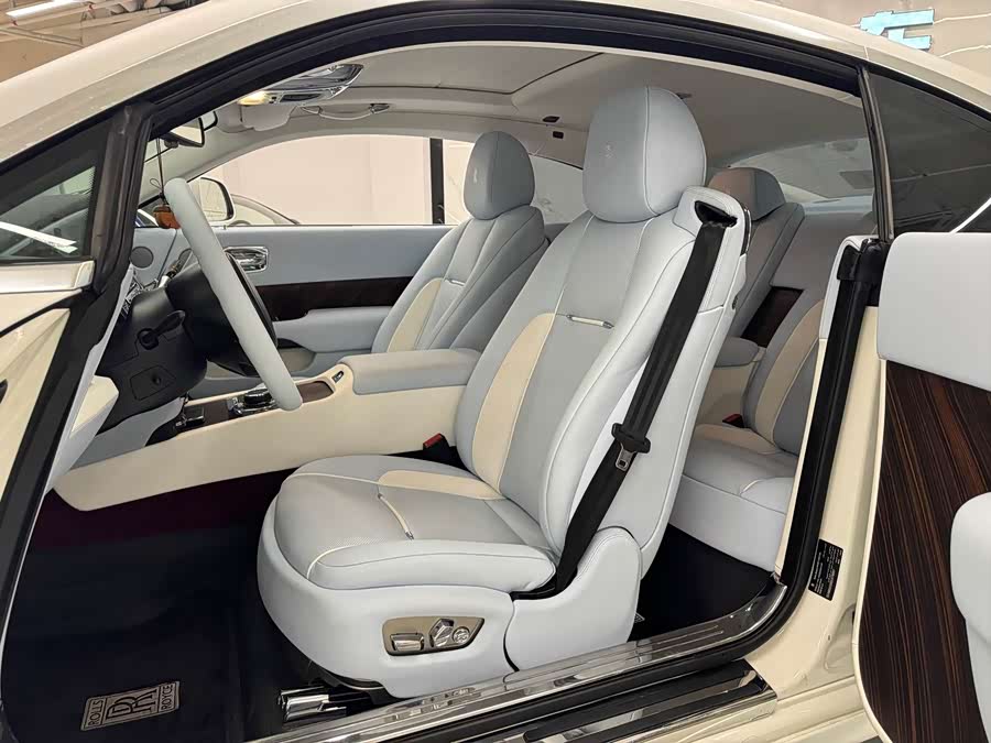 Denza Wraith 2014 car image #13