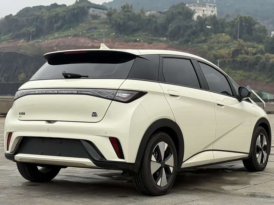 BYD Dolphin 2023 immagine di auto #13