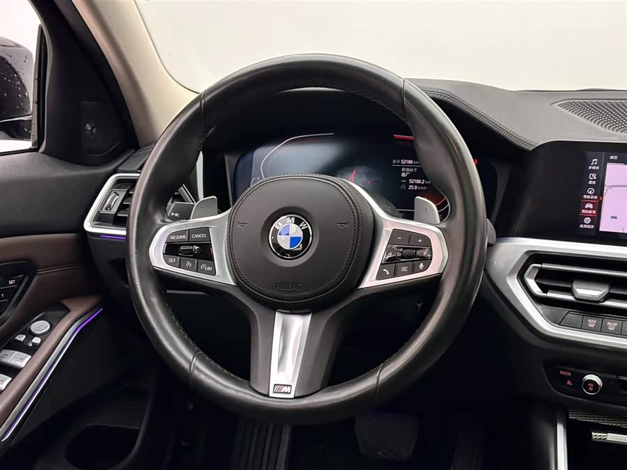 BMW 3 Series 2019 car image #13