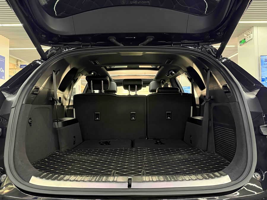 Denza X 2020 car image #13