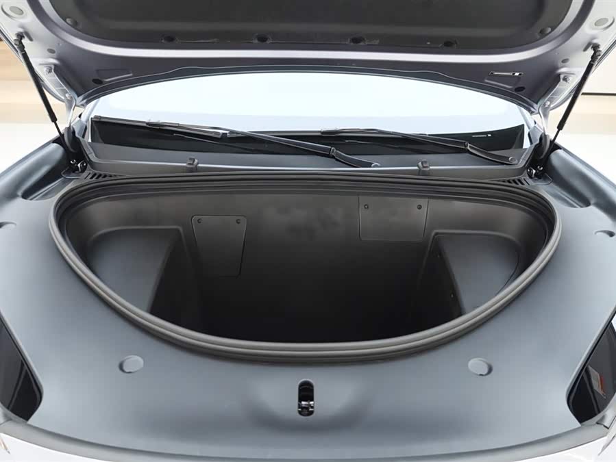 BYD Sea Lion 06 New Energy 2025 car image #13