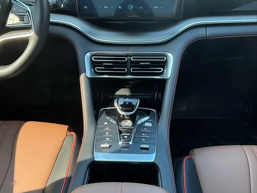 BYD Song Plus 2021 #13 BYD Song Plus 2021 car image #13