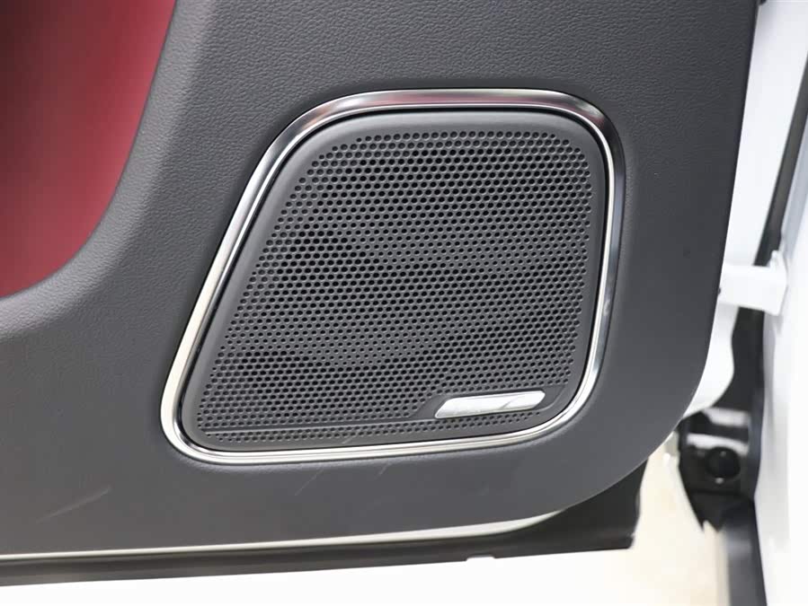 HongQi E-HS9 2023 изображение автомобиля #13