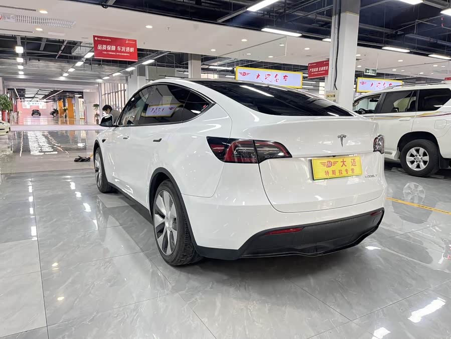 Tesla Model Y 2023 car image #13