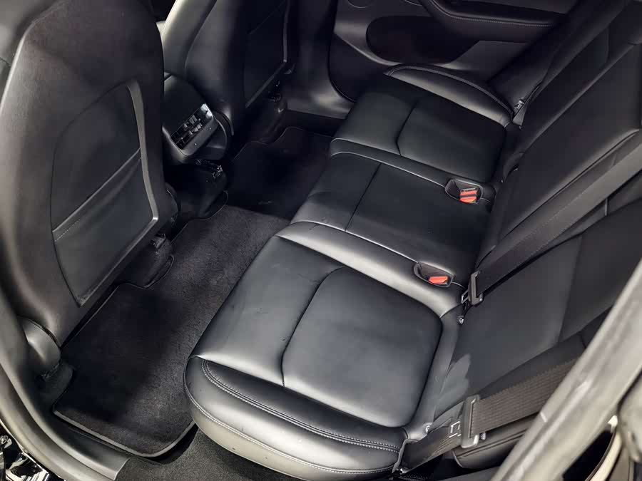 Tesla Model Y 2023 car image #13