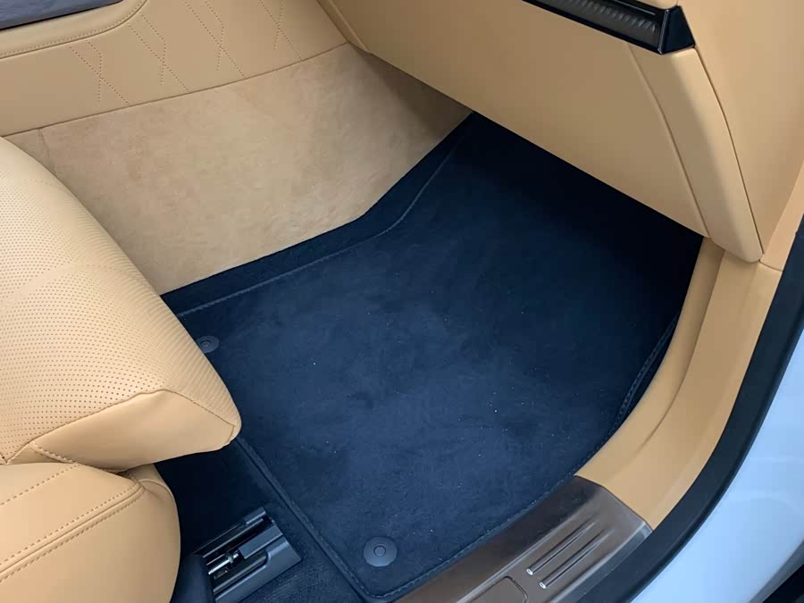 极氪 极氪9X 汽车图片 #13