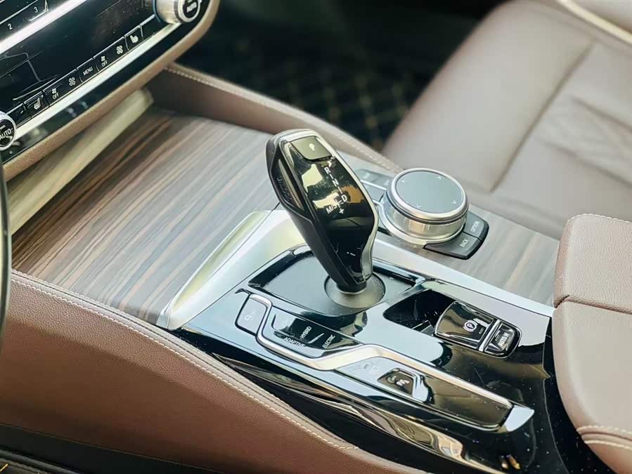 BMW 5 Series New Energy 2021 car image #13