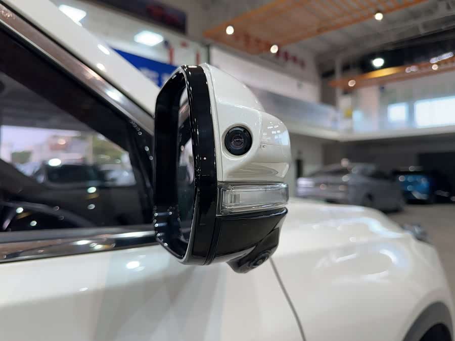 GAC Trumpchi GS8 2017 car image #13