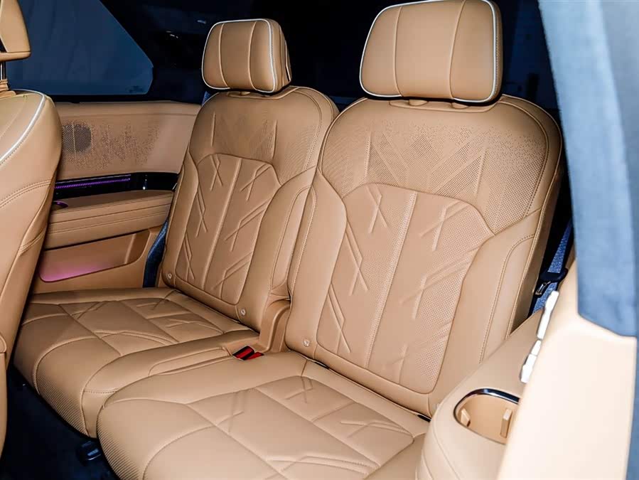 极氪 极氪9X 2026 汽车图片 #13