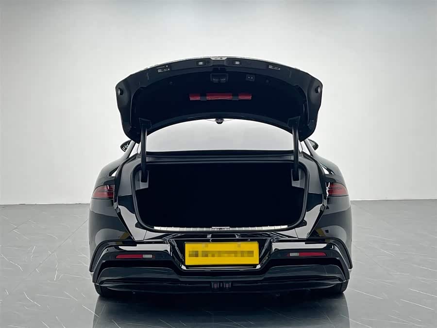 Denza Z9 2024 car image #13