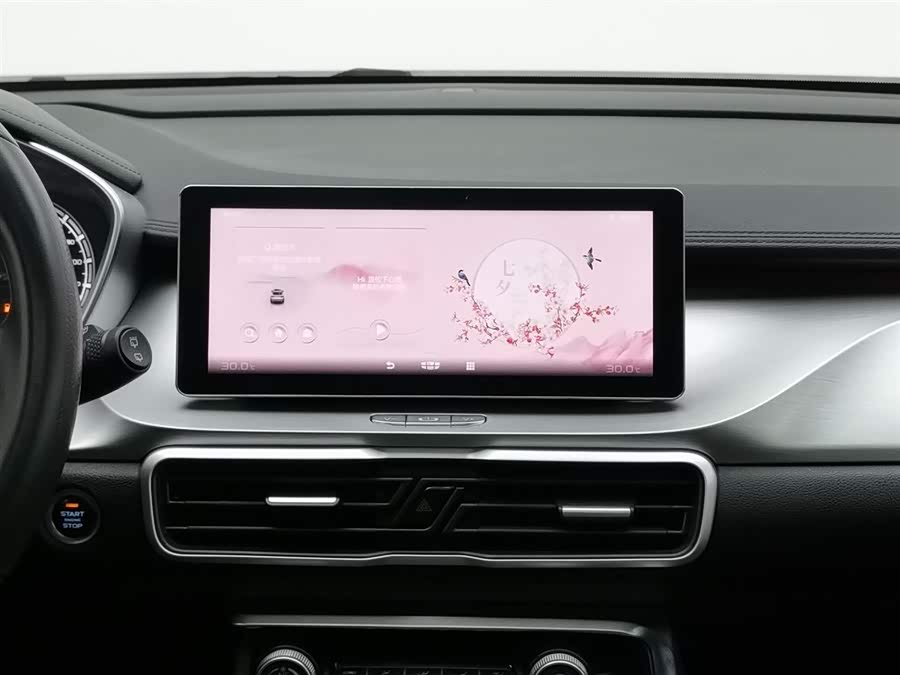 吉利汽车 缤越 2021 汽车图片 #13