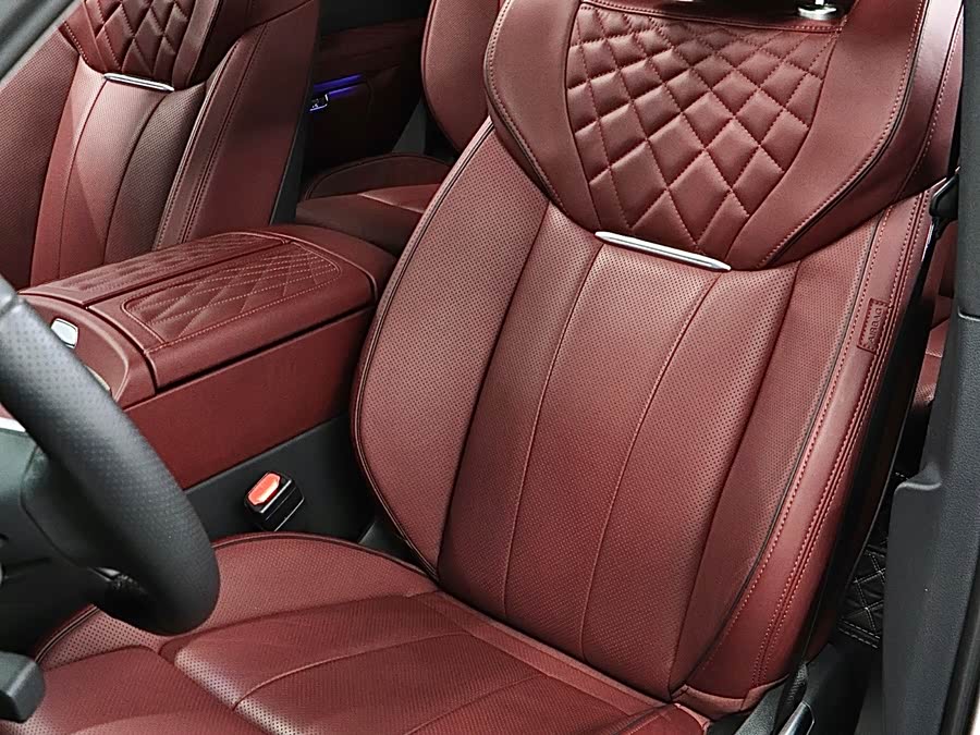 HongQi E-HS9 2023 immagine di auto #13