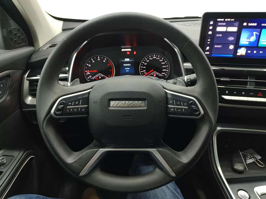 Haval H6 2020 car image #13