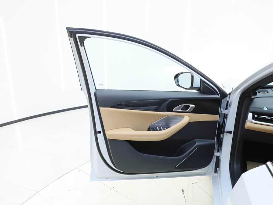 GEELY 2025 immagine di auto #13