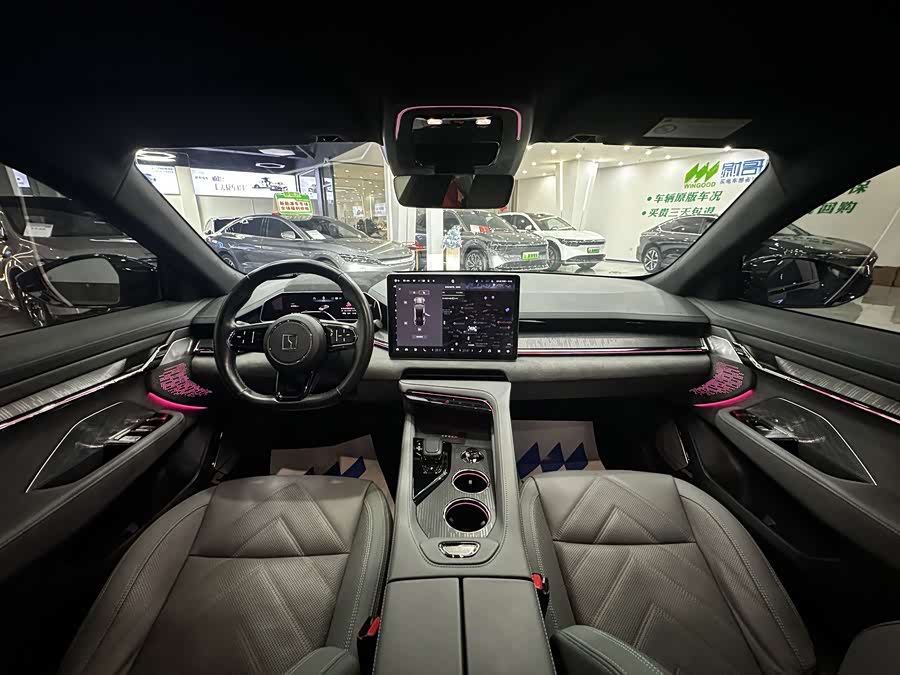 极氪 极氪001 2023 汽车图片 #13