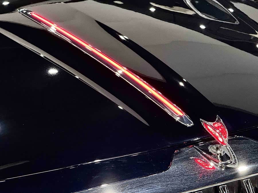 HongQi GuoYa 2024 #13 HongQi GuoYa 2024 car image #13