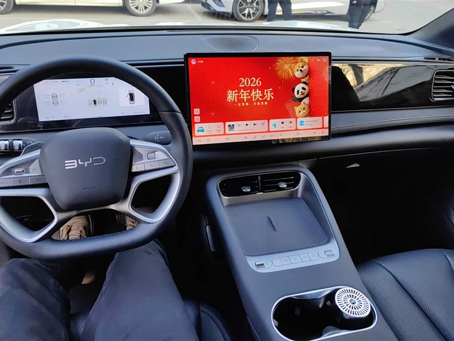 BYD Sea Lion 06 New Energy 2025 car image #13