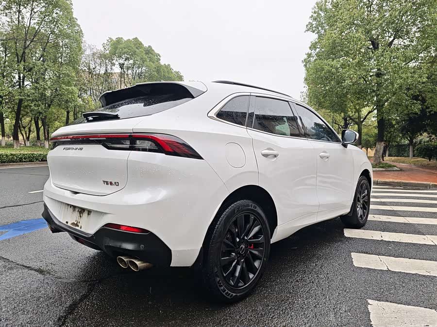 Forthing T5 EVO 2021 car image #13