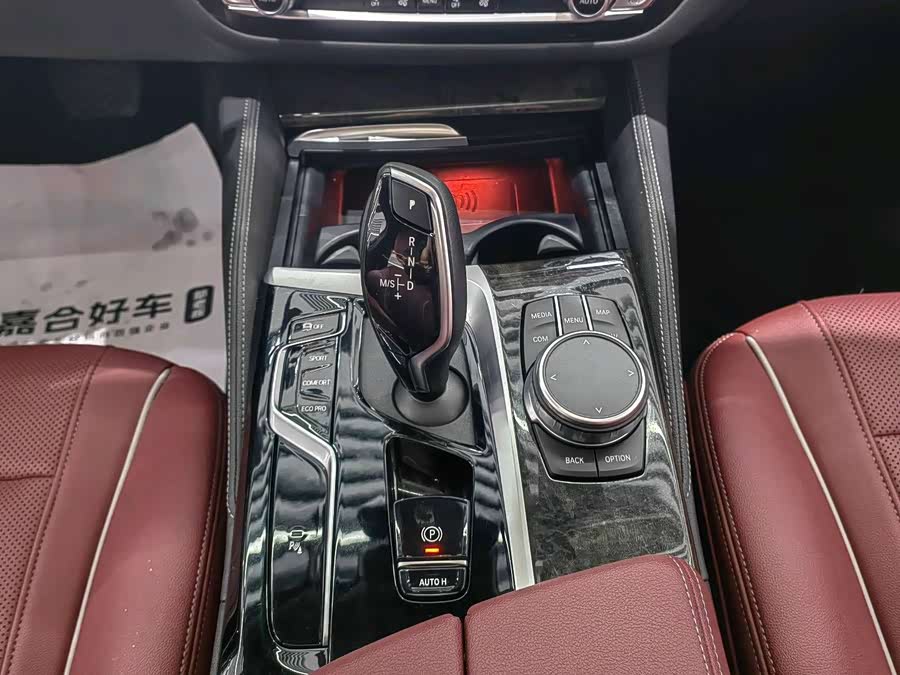 BMW 5 Series 2021 car image #13