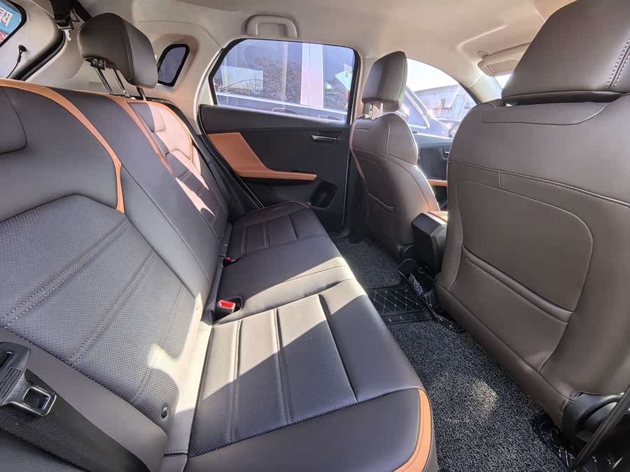 BYD e2 2020 изображение автомобиля #13