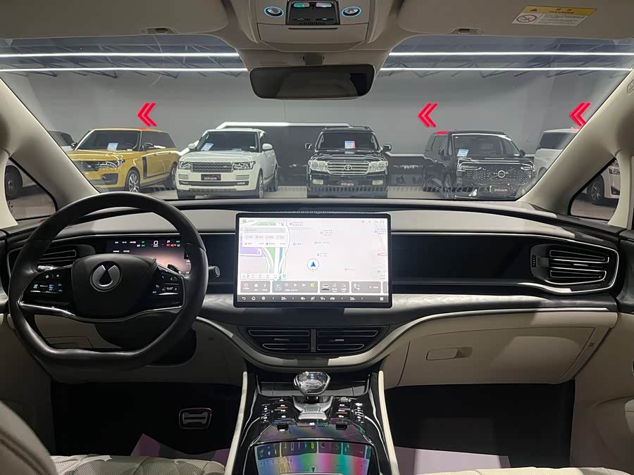 Denza D9 2025 imagen de coche #13