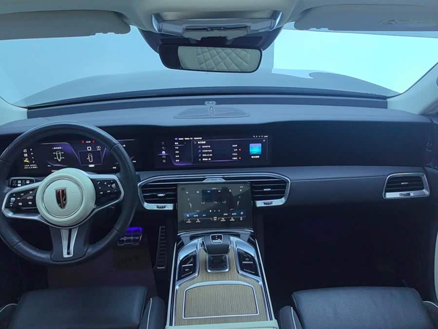 HongQi E-HS9 2023 image de voiture #13