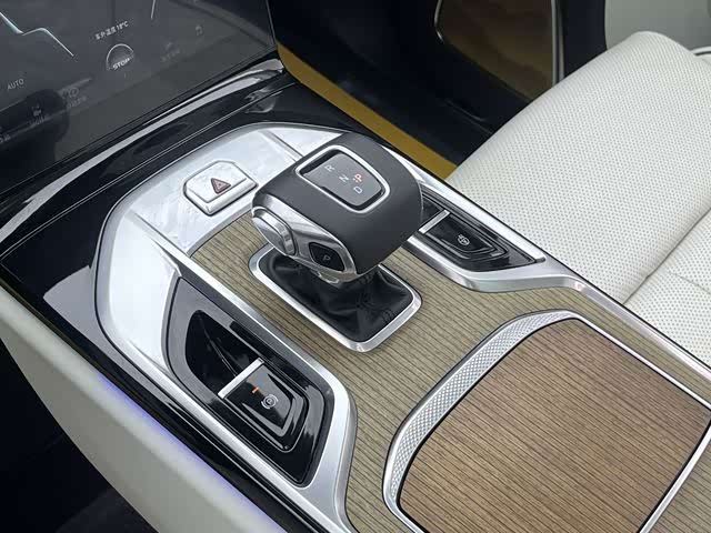 HongQi E-HS9 2023 car image #13