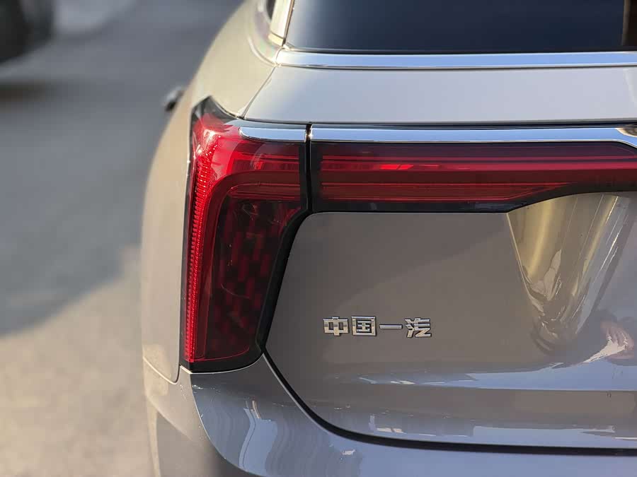 HongQi E-HS9 2022 imagen de coche #13