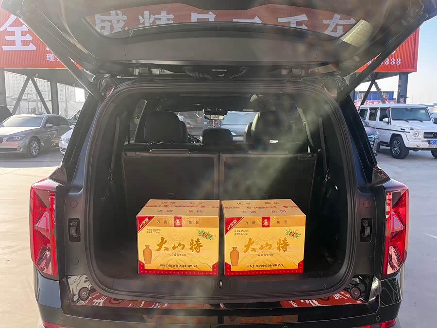 GAC Trumpchi GS8 2022 car image #13