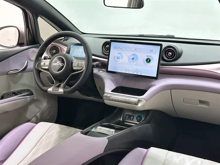 BYD Dolphin 2024 imagem de carro #13