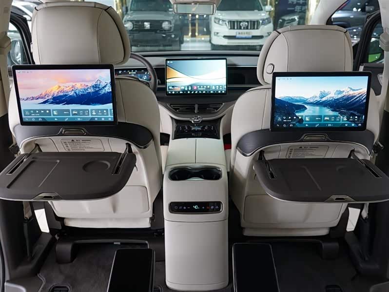 Denza D9 2024 imagem de carro #13