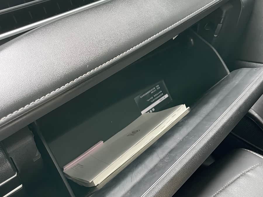 Chery Tiggo 7 Plus 2021 car image #13