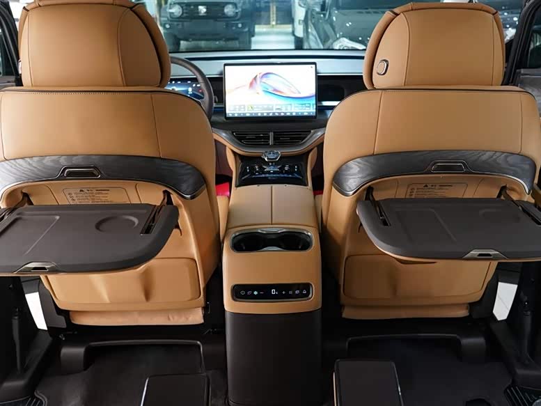 Denza D9 2025 imagen de coche #13