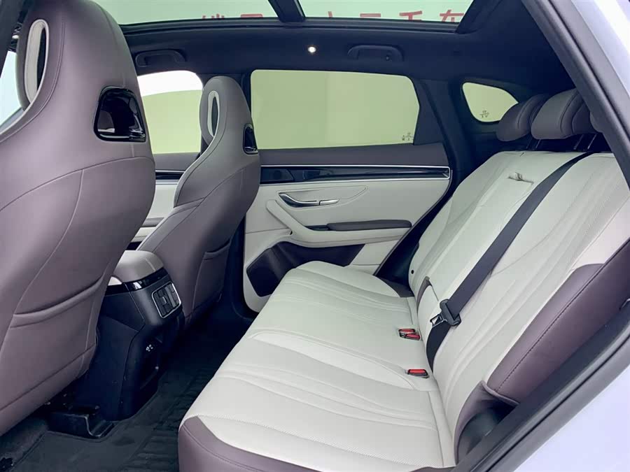 BYD Song Plus New Energy 2025 car image #13