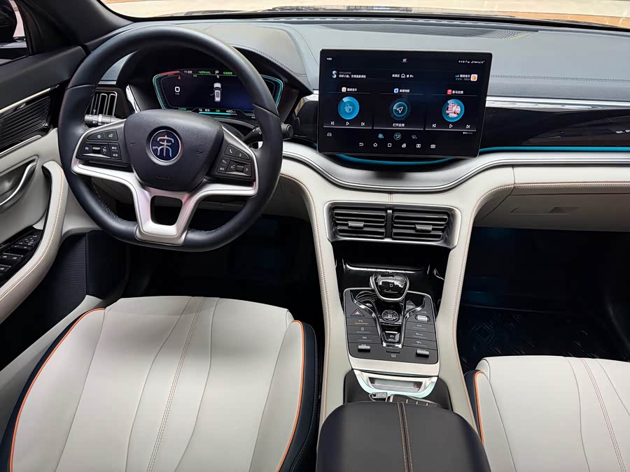 BYD Song Plus New Energy 2023 car image #13