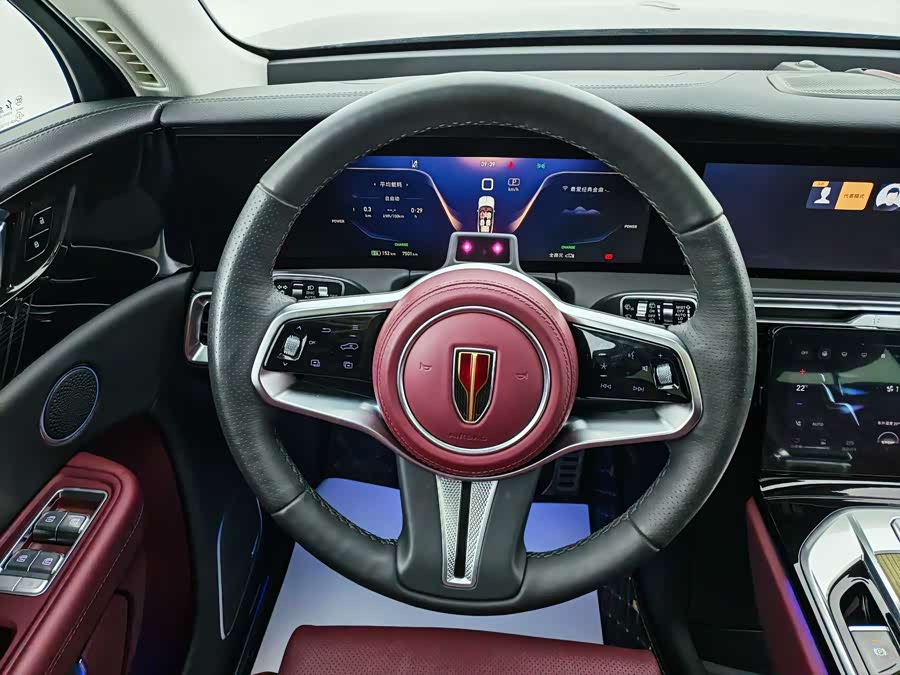 HongQi E-HS9 2023 car image #13