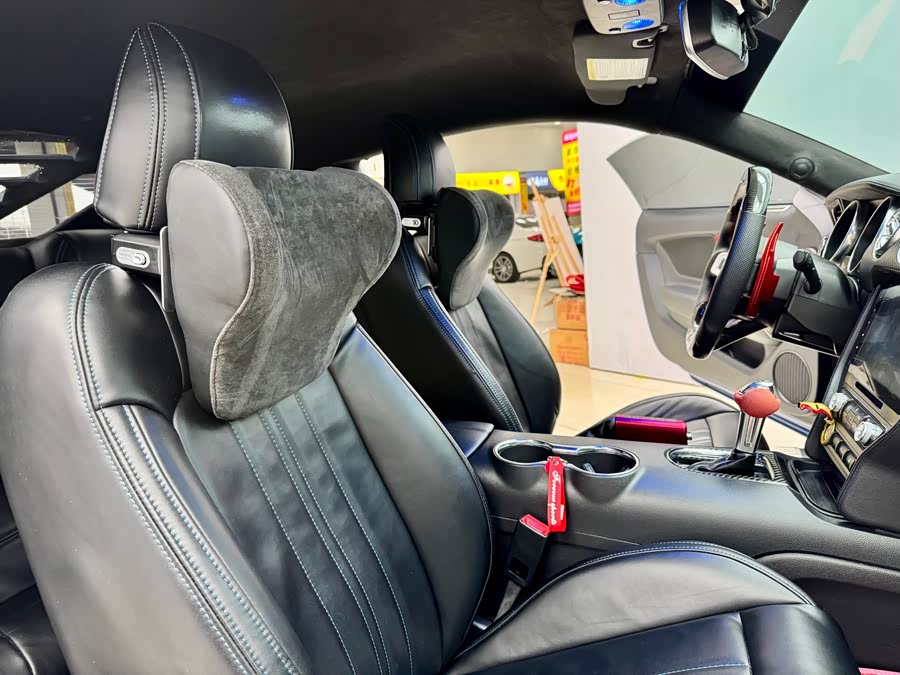 Ford Mustang 2019 car image #13