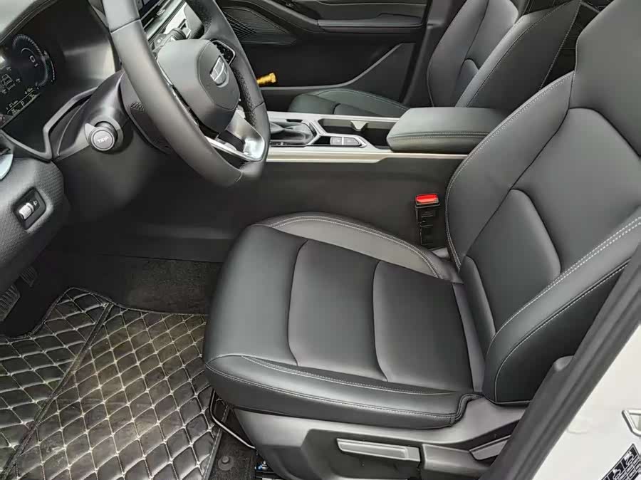 Emgrand 2021 car image #13