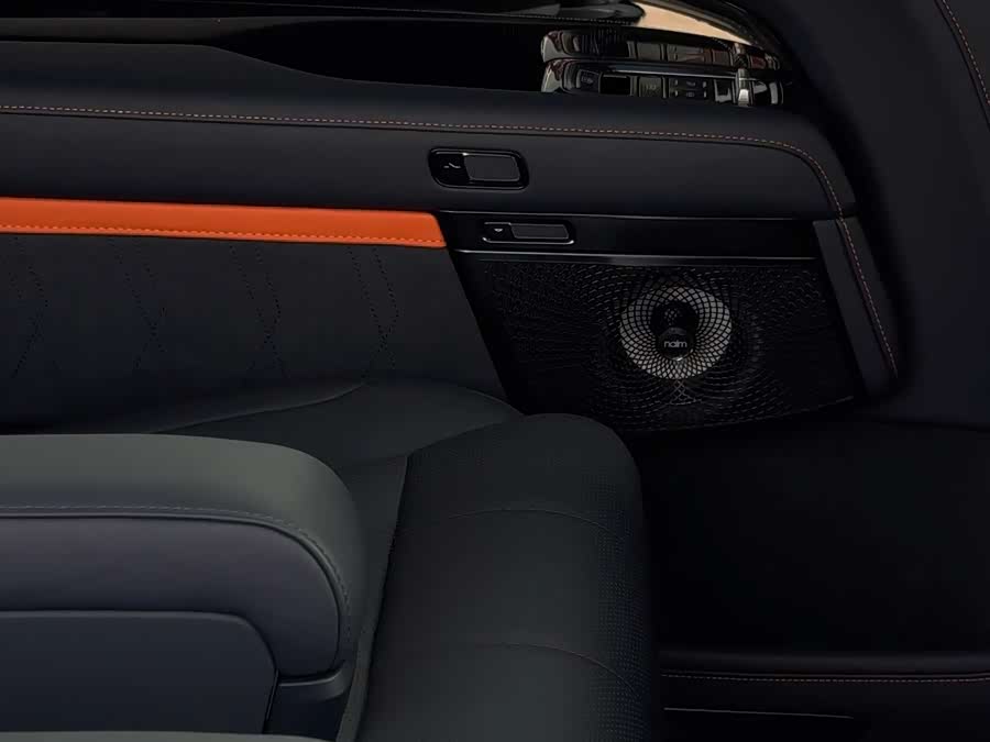 极氪 极氪9X 汽车图片 #13