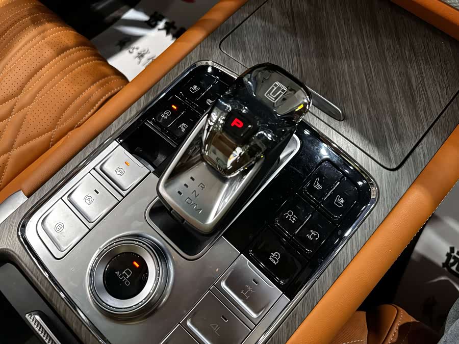 坦克 坦克500 2023 汽车图片 #13