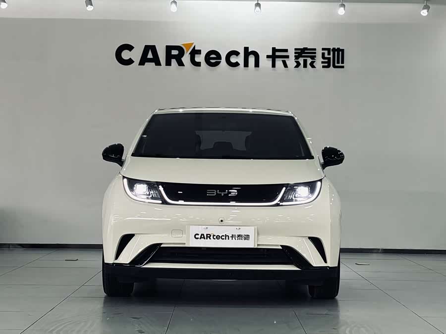 BYD Dolphin 2024 imagem de carro #13