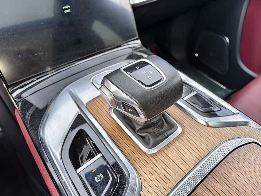 HongQi E-HS9 2021 immagine di auto #13