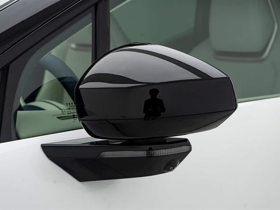 Zeekr X 2024 immagine di auto #13